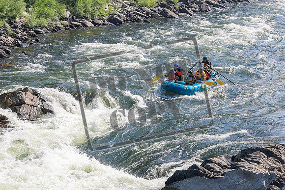 20260803-IMG_4182