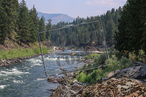 20260803-IMG_4415