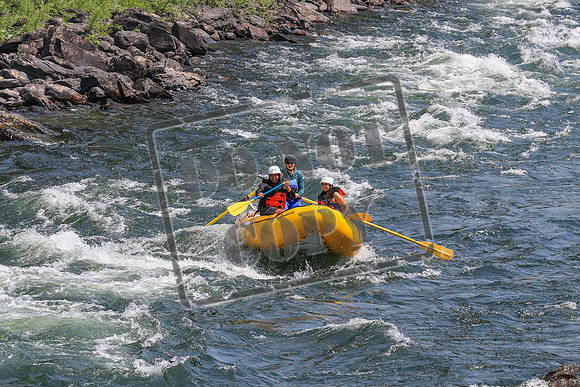 20260803-IMG_4417