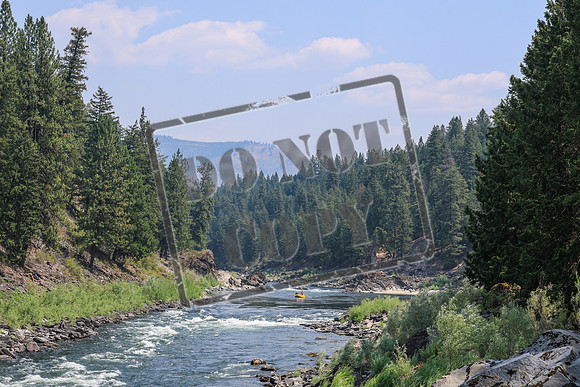 20260803-IMG_4411