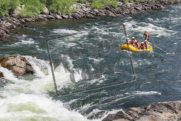 20260803-IMG_4503
