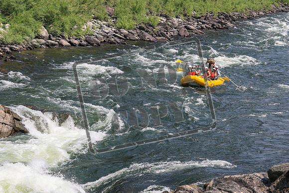 20260803-IMG_4501