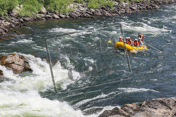 20260803-IMG_4504