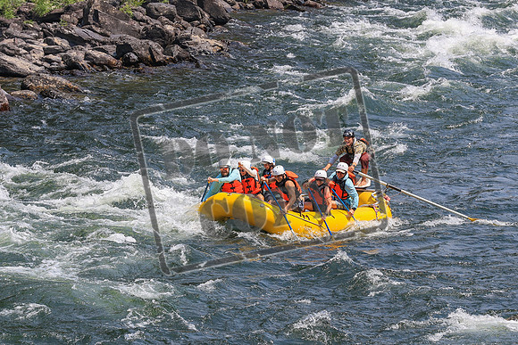 20260803-IMG_4495