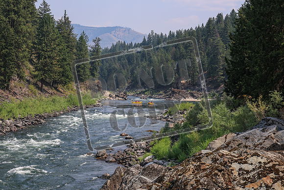 20260803-IMG_4468