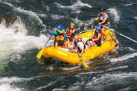 20260803-IMG_4880