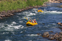 20260803-IMG_4873
