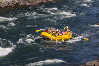 20260803-IMG_4908