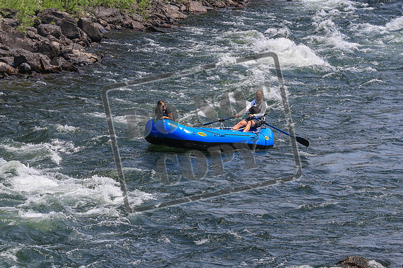 20260803-IMG_4659