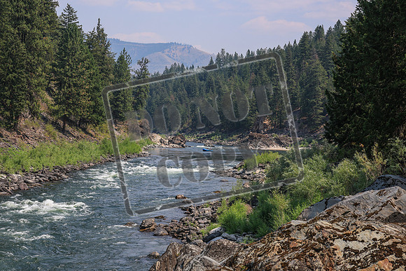 20260803-IMG_4658