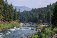 20260803-IMG_4656