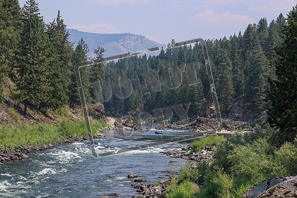 20260803-IMG_4656