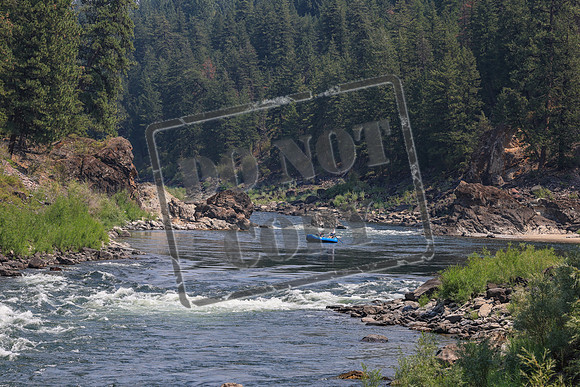20260803-IMG_4657