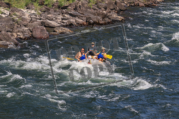 20260803-IMG_5009