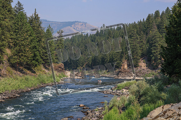 20260803-IMG_5005