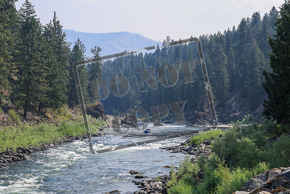 20260803-IMG_4277