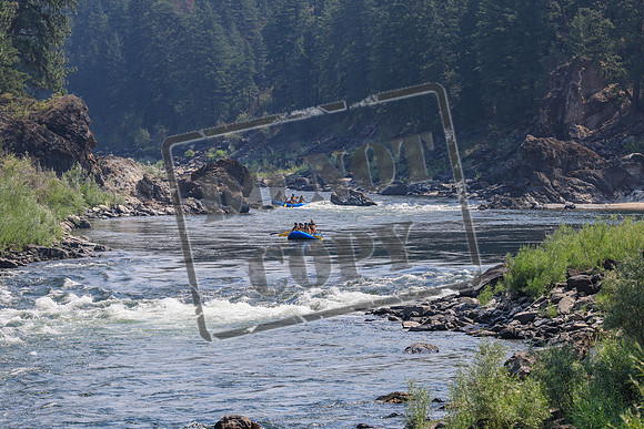 20260803-IMG_4278