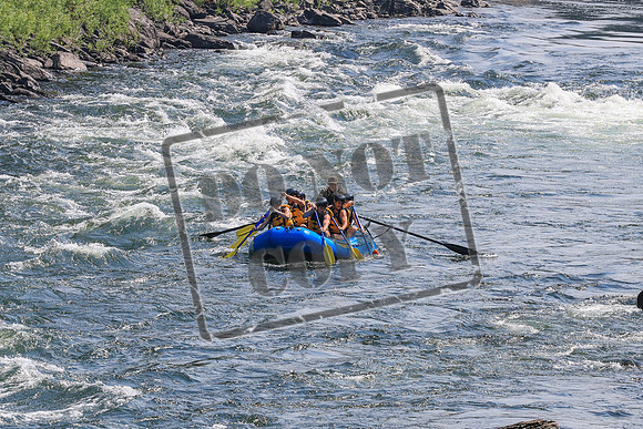 20260803-IMG_4281