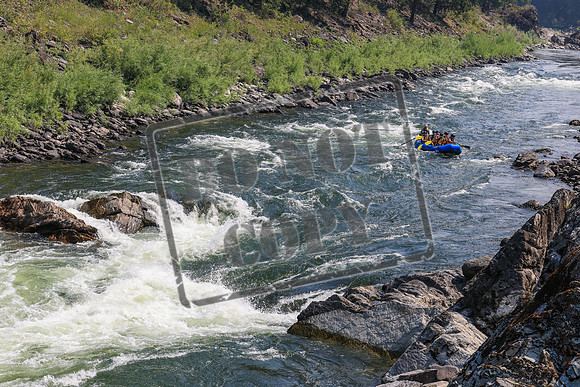 20260803-IMG_4283