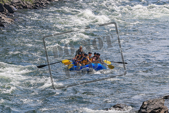 20260803-IMG_4282