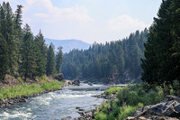 20260803-IMG_4316