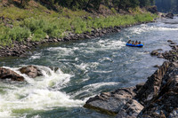 20260803-IMG_4328