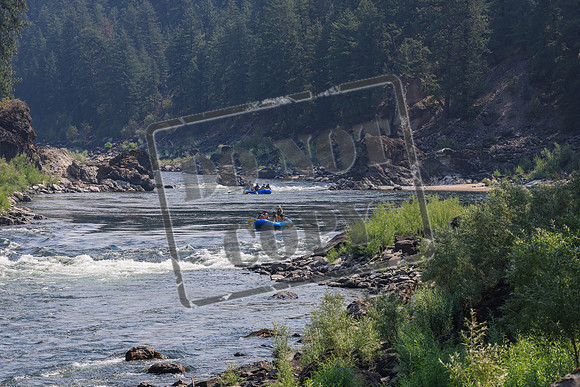 20260803-IMG_4321