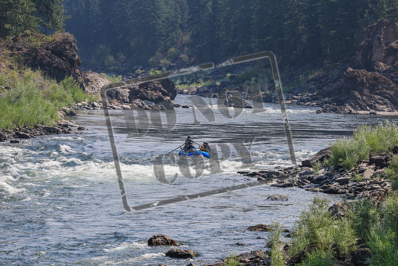 20260803-IMG_4352