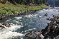 20260803-IMG_4354