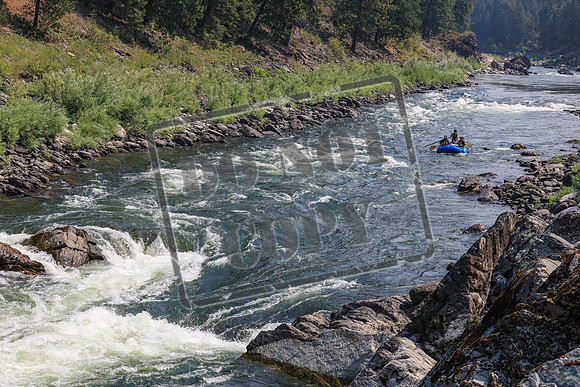 20260803-IMG_4354