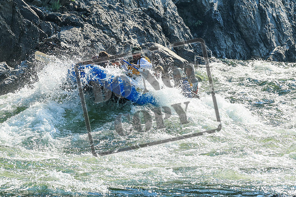 20260804-IMG_5282
