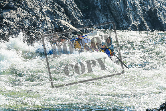 20260804-IMG_5281