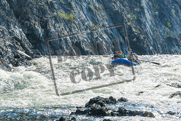 20260804-IMG_5275