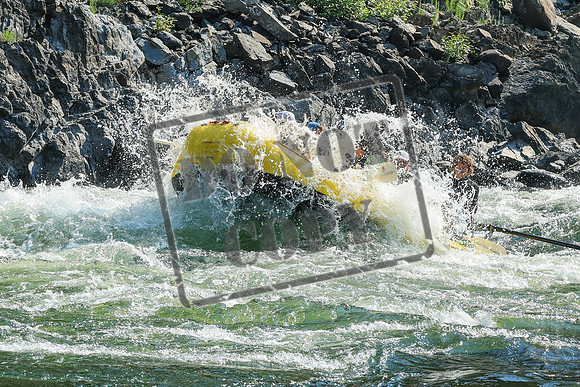 20260804-IMG_5417