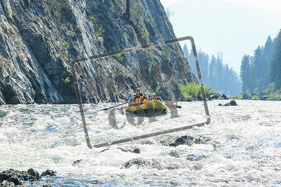 20260804-IMG_5404