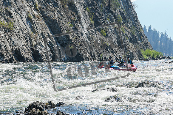 20260804-IMG_5501