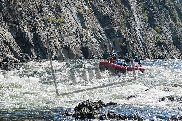 20260804-IMG_5502