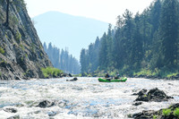 20260804-IMG_5529