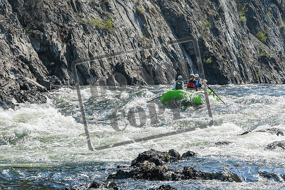 20260804-IMG_5539