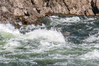 20260804-IMG_6227