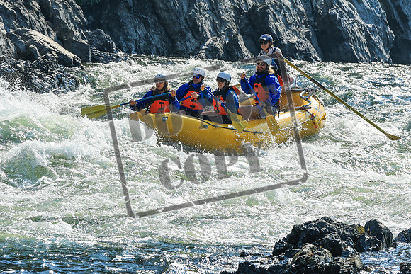 20260804-IMG_5327