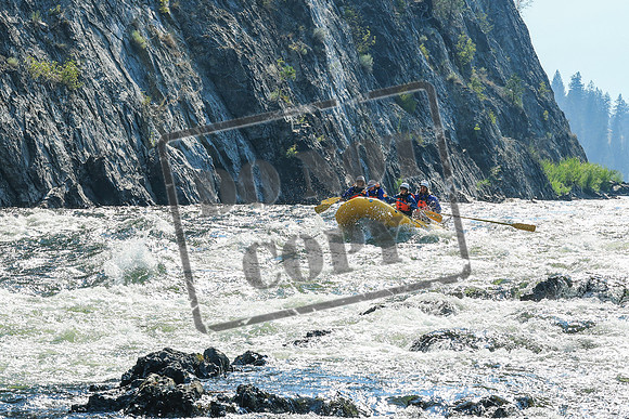 20260804-IMG_5320