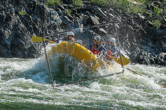 20260804-IMG_5336