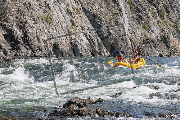 20260804-IMG_5655