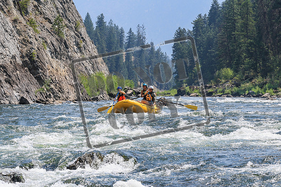 20260804-IMG_5652