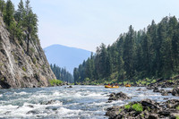20260804-IMG_5647