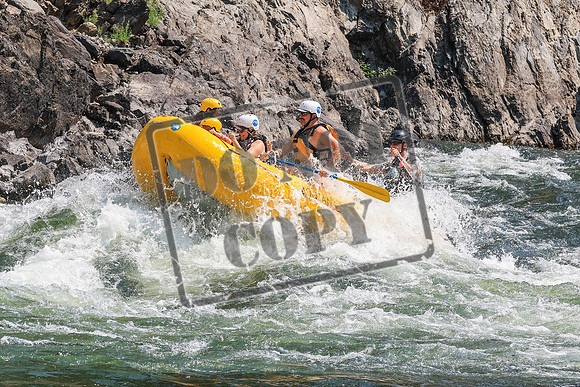 20260804-IMG_5695
