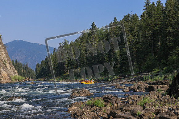 20260804-IMG_6329