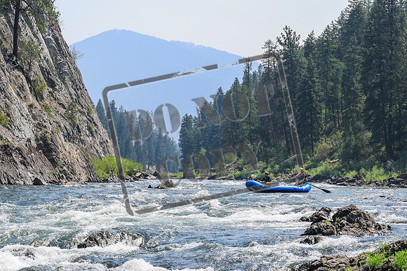 20260804-IMG_5619