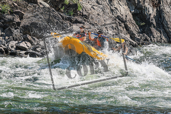 20260804-IMG_5586